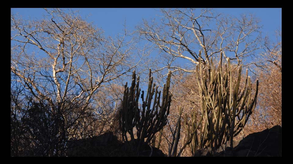 Excursão Peruaçu — foto 49